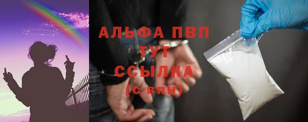 гашик Бежецк