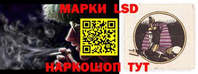 дмт Краснодар