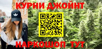 крисы Краснознаменск