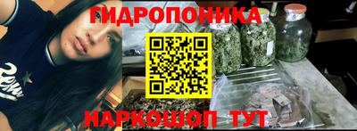 шишки Краснокаменск