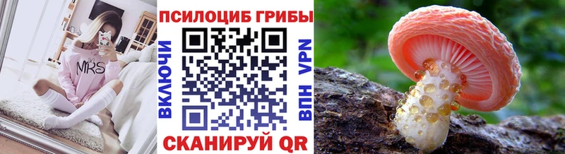 купить наркотики сайты  Надым  Галлюциногенные грибы ЛСД 
