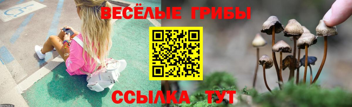 Псилоцибиновые грибы Psilocybine cubensis  где купить наркоту  Надым  Вход с VPN 